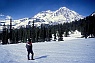 Mt. Rainier, Near Indian Henry's Hunting Ground